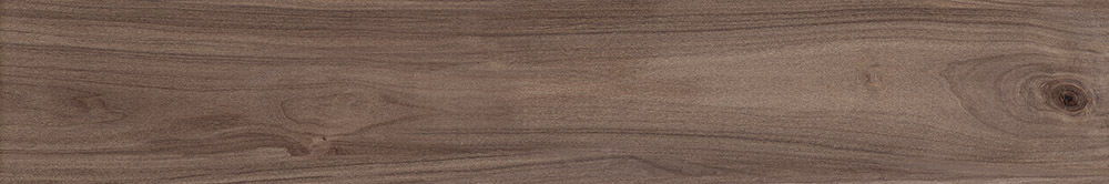 Colección de reglas 18 x 113 - Imagen 5