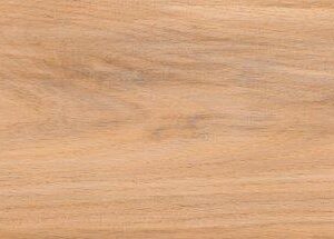 Colección de reglas 18 x 113